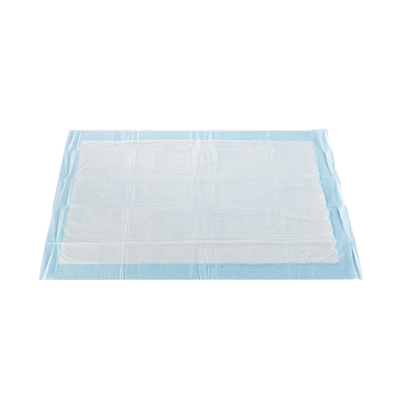 McKesson Classic Plus Disposable Underpad 23 X 36 Inch Fluff Mat Light Absorbency (724033_BG) 10/BG