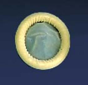 Ultra Cover™ Ultrasound Probe Cover 2 X 7-1/10 Inch Latex NonSterile Rolled (211078_BX) 100/BX
