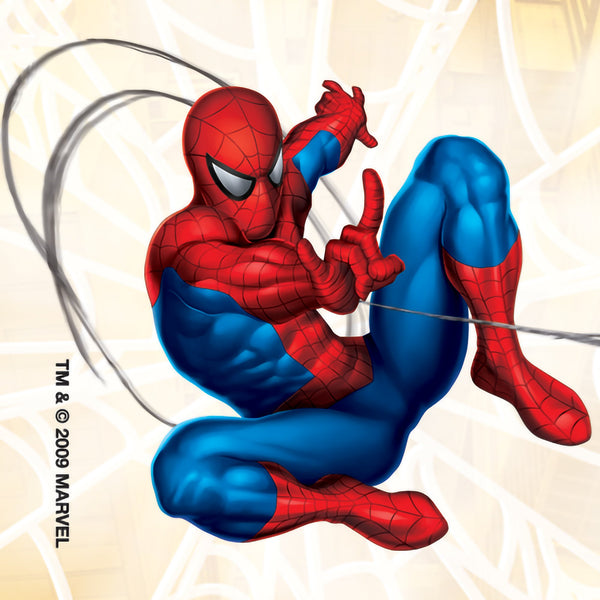 Value Stickers™ 100 per Roll Spider-Man Classic Value Sticker 1-5/8 Inch (726588_RL) 1/RL