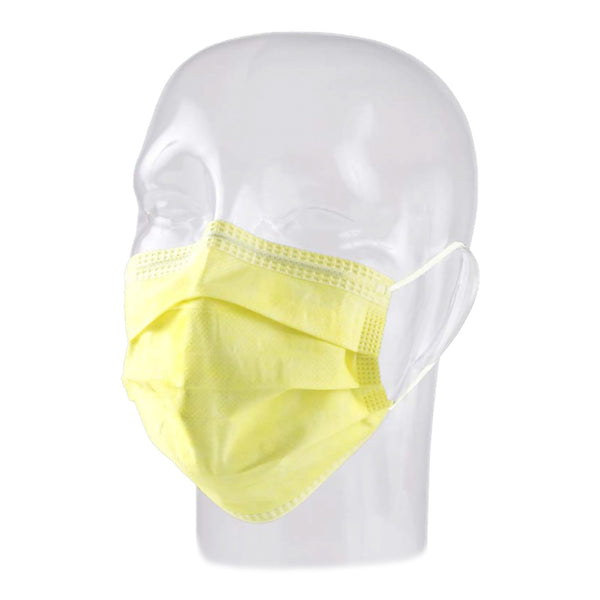 Precept® Procedure Mask Not Rated Earloops One Size Fits Most (449268_CS) 500/CS