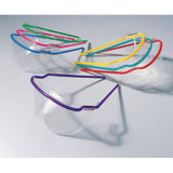 SafeView Safety Glasses Frames (449464_CS) 100/CS