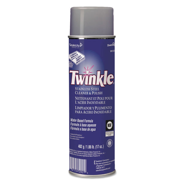 Diversey Stainless Steel Cleaner & Polish, 17oz Aerosol (DRA91224) Each