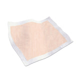 Tranquility® Heavy Duty Disposable Underpad 30 X 36 Inch Super Absorbent Polymer Heavy Absorbency (798791_BG) 10/BG