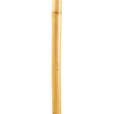 Brazos™ Free Form Walking Stick Wood 48 Inch Height Bamboo (1229050_EA) 1/EA