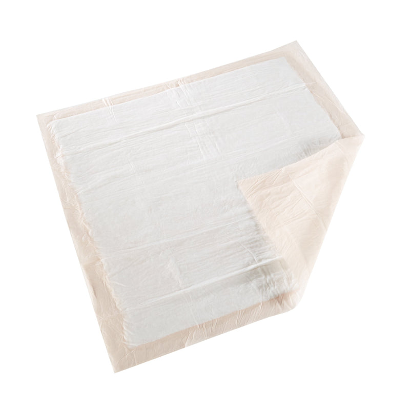 McKesson Ultra Disposable Underpad 30 X 30 Inch Fluff / Polymer Heavy Absorbency (730984_BG) 10/BG