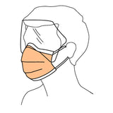 FluidShield Procedure Mask with Eye Shield Anti-fog Foam ASTM Level 3 Earloops One Size Fits Most (280649_BX) 25/BX