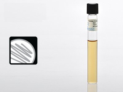 Hardy Diagnostics Prepared Media Thioglycollate Medium Beige Tube Format (914513_BX) 20/BX