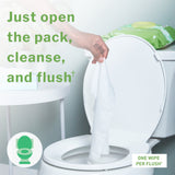 McKesson Flushable Personal Wipe Soft Pack Scented 48 Count (1241746_PK) 48/PK