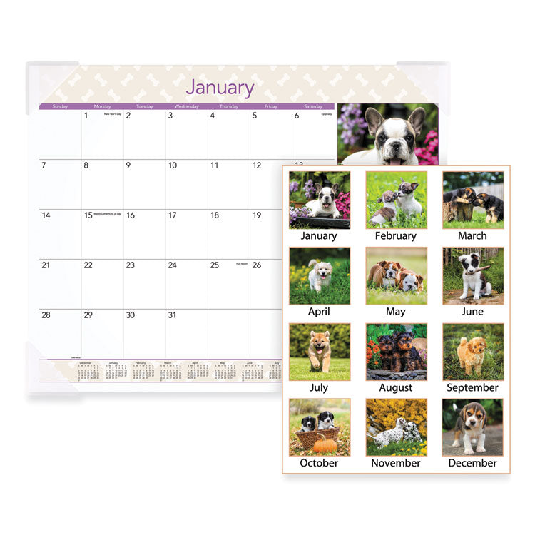 AT-A-GLANCE® Puppies Monthly Desk Pad Calendar, Puppies Photography, 22 x 17, White Sheets, Clear Corners, 12-Month (Jan to Dec): 2024 (AAGDMD16632)