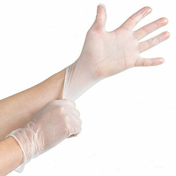 Clear Vinyl Powder-Free Gloves (10 packages per case; 100 gloves per pack)
